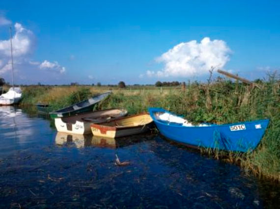 Colourful wooden rowing and sailing boats moored at the edge of a stretch of Boards waterway under the blue skies of a warm summers day.